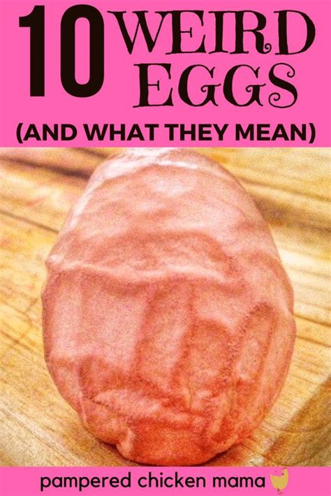 Abnormal Chicken Eggs: What You Need To Know!.